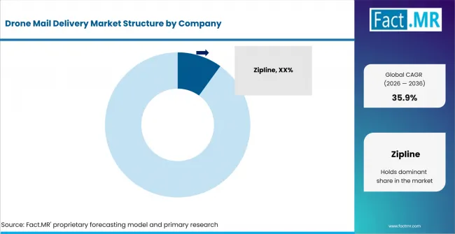 Drone Mail Delivery Market Analysis By Company Drone Mail Delivery Market Analysis By Company