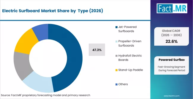 Electric Surfboard Market Analysis By Type Electric Surfboard Market Analysis By Type