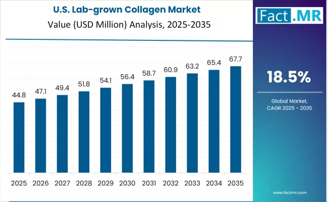 US Lab Grown Collagen Market Analysis Value 2025 To 2035