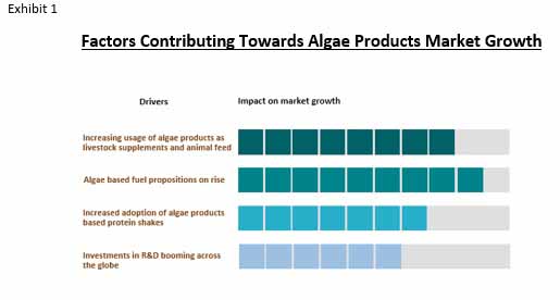 algae products market