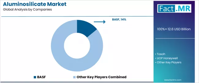 Aluminosilicate Market Analysis By Company
