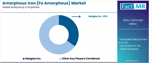 Amorphous Iron (fe Amorphous) Market Analysis By Company