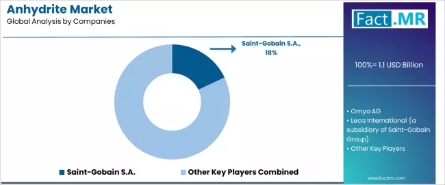 Anhydrite Market Analysis By Company Anhydrite Market Analysis By Company