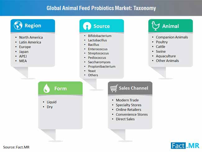 Animal Feed Probiotics Market Taxonomy animal feed probiotics market taxonomy