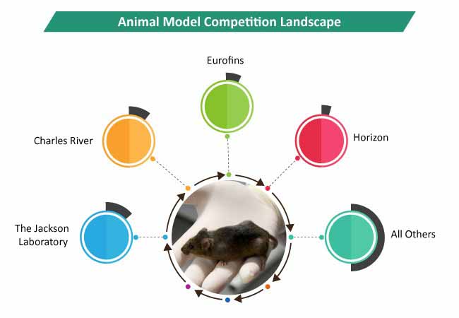 animal model industry 2