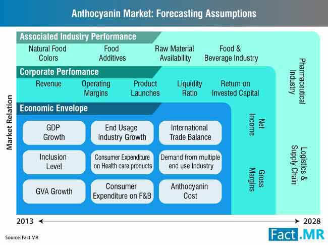 Anthocyanin Market Forecasting Assumptions anthocyanin market forecasting assumptions