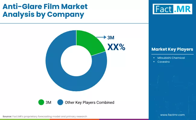 Anti Glare Film Market By Company