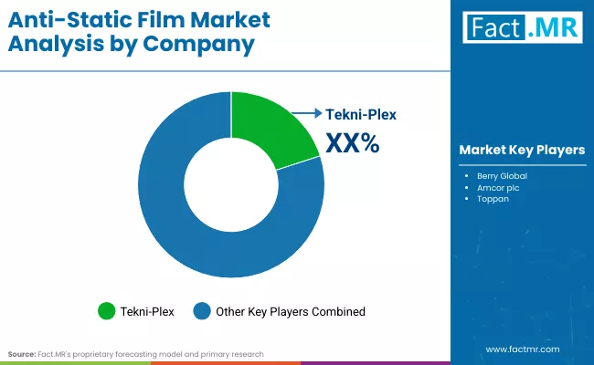 Anti Static Film Market By Company