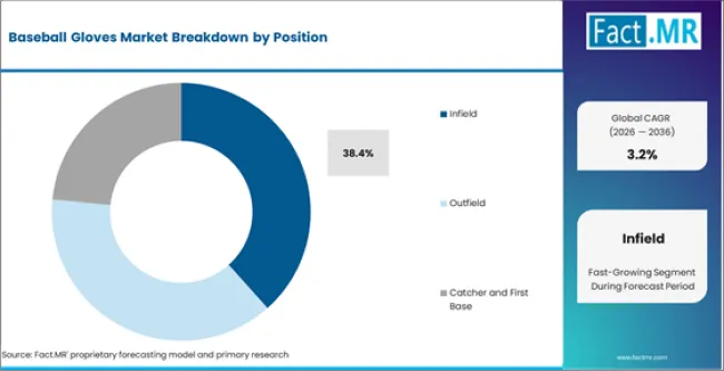 Baseball Gloves Market Analysis By Position Baseball Gloves Market Analysis By Position