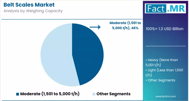 Belt Scales Market By Weighing Capacity