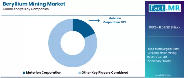 Beryllium Mining Market Analysis By Company