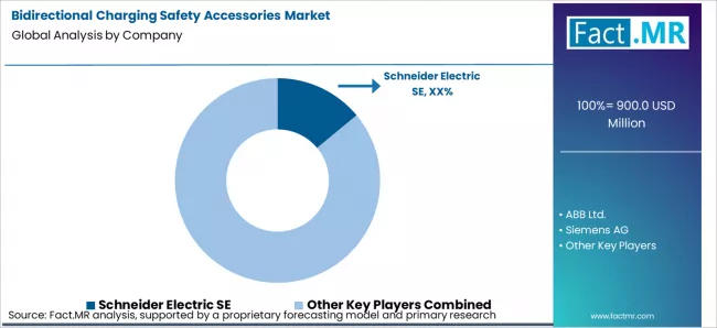 Bidirectional Charging Safety Accessories Market Analysis By Company Bidirectional Charging Safety Accessories Market Analysis By Company
