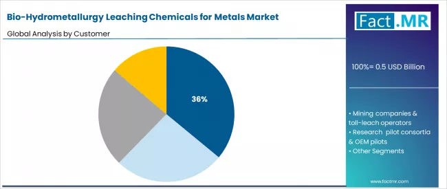 Bio Hydrometallurgy Leaching Chemicals For Metals Market Analysis By Customer