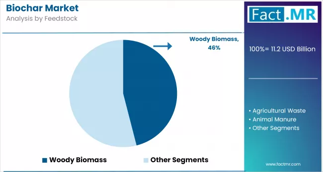 Biochar Market By Feedstock
