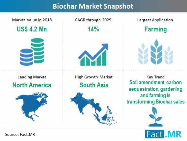 biochar market snapshot