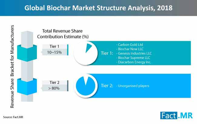 biochar market structure analysis