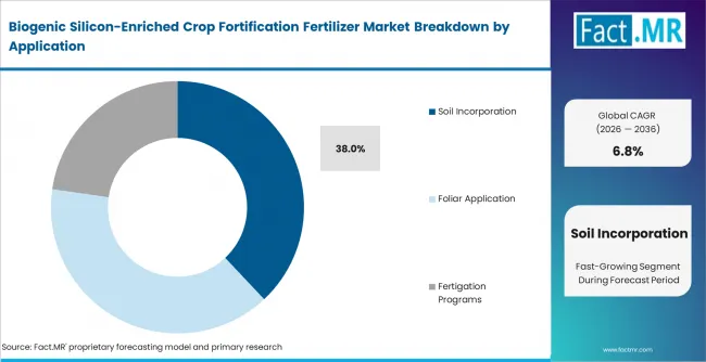 Biogenic Silicon Enriched Crop Fortification Fertilizer Market Analysis By Application Biogenic Silicon Enriched Crop Fortification Fertilizer Market Analysis By Application