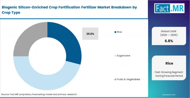 Biogenic Silicon Enriched Crop Fortification Fertilizer Market Analysis By Crop Type Biogenic Silicon Enriched Crop Fortification Fertilizer Market Analysis By Crop Type