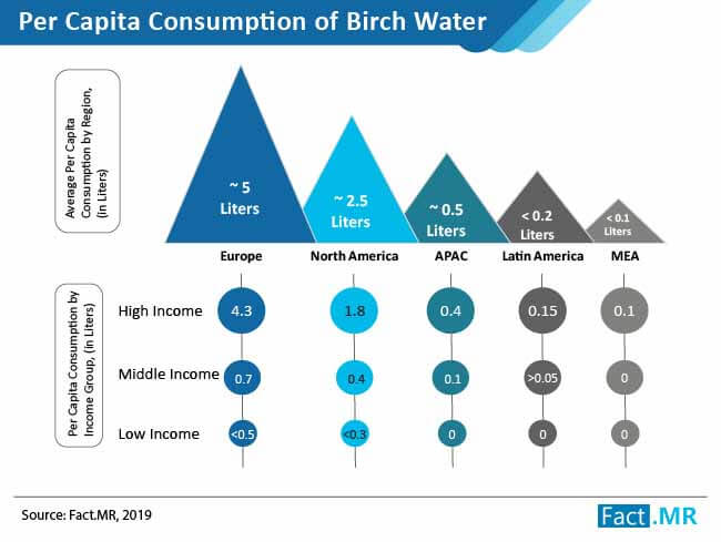 birch water market p1