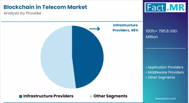 Blockchain In Telecom Market By Provider