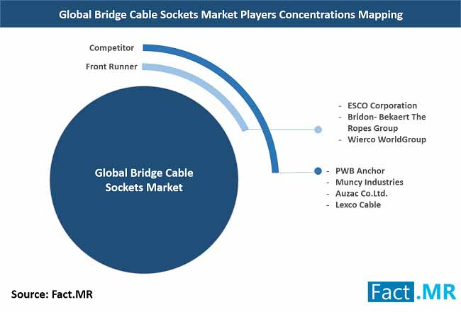 Bridge Cable Sockets Market Players Concentrations Mapping bridge cable sockets market players concentrations mapping