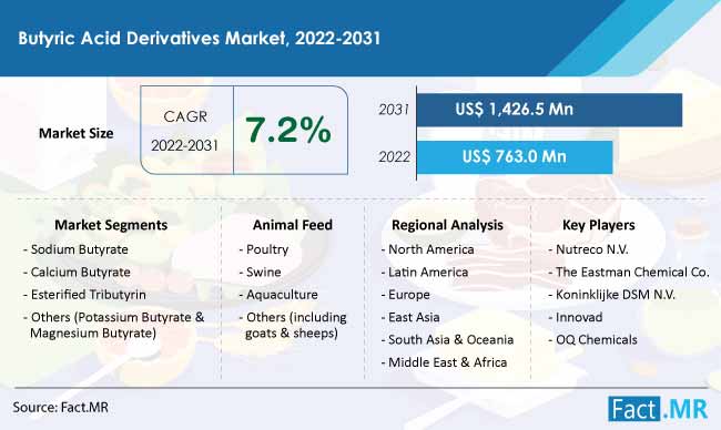 Butyric acid derivatives market forecast by Fact.MR