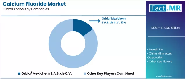 Calcium Fluoride Market Analysis By Company Calcium Fluoride Market Analysis By Company