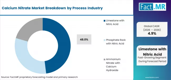Calcium Nitrate Market Analysis By Process