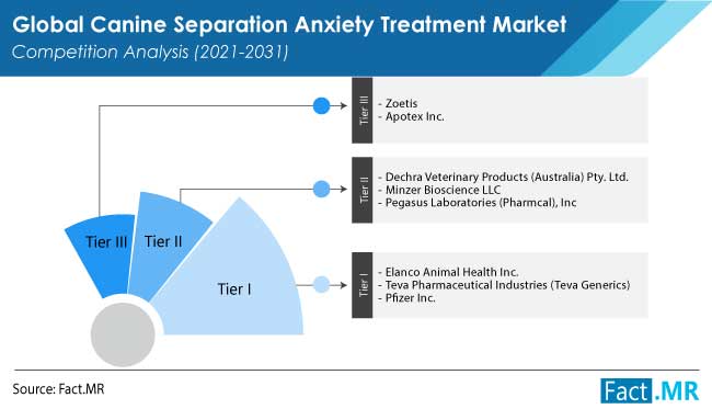 canine separation anxiety treatment market competition by FactMR
