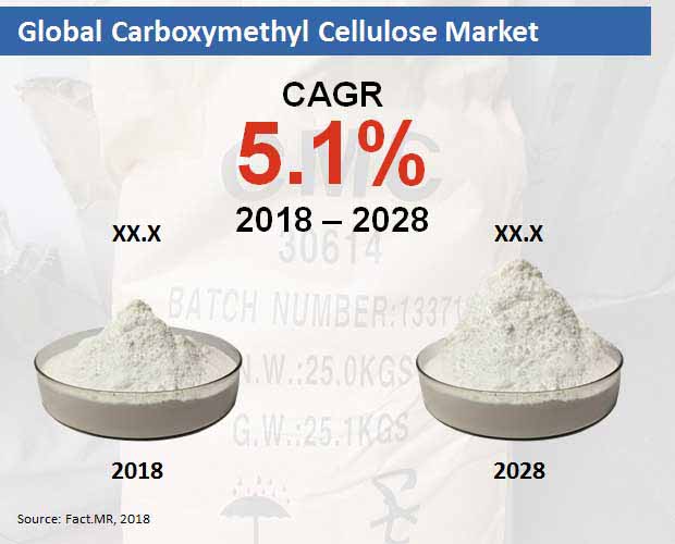 Carboxymethyl Cellulose Market