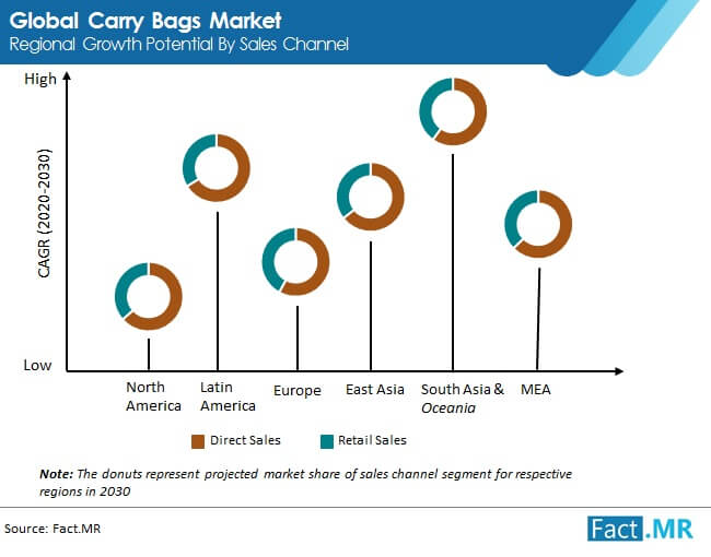 carry bags market regional growth potential by sales chennel