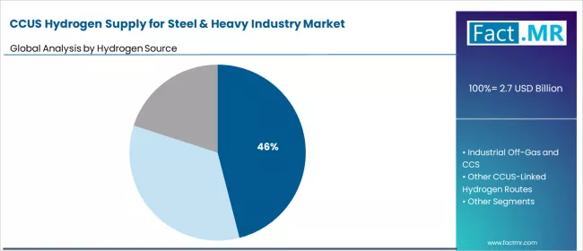 Ccus Hydrogen Supply For Steel & Heavy Industry Market Analysis By Hydrogen Source