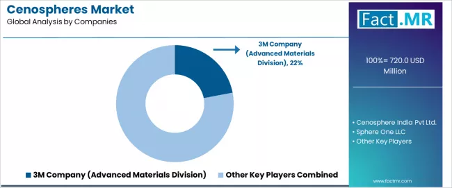 Cenospheres Market Analysis By Company