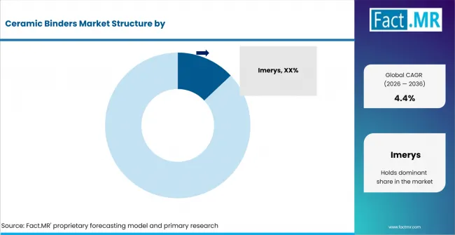 Ceramic Binders Market Analysis By Company
