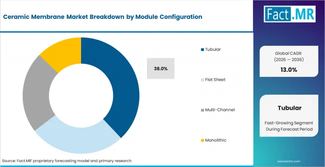 Ceramic Membrane Market Analysis By Module Configuration