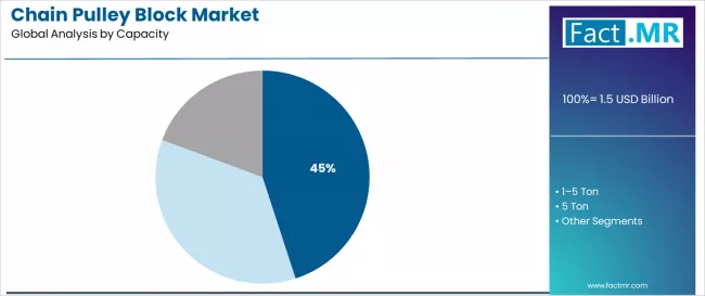 Chain Pulley Block Market Analysis By Capacity