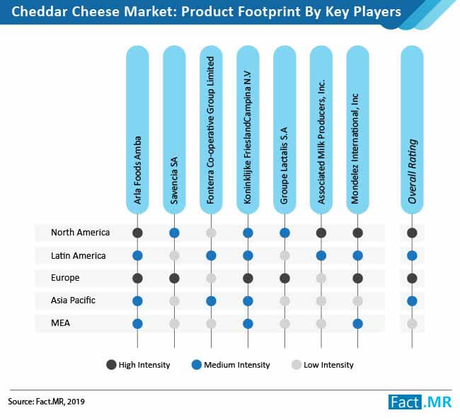 cheddar cheese market product footprint by key players