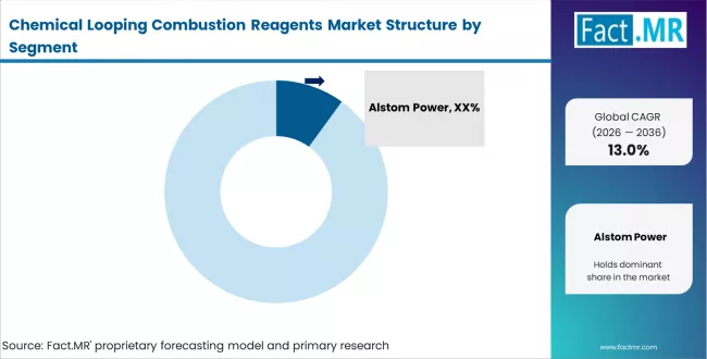Chemical Looping Combustion Reagents Market Analysis By Company