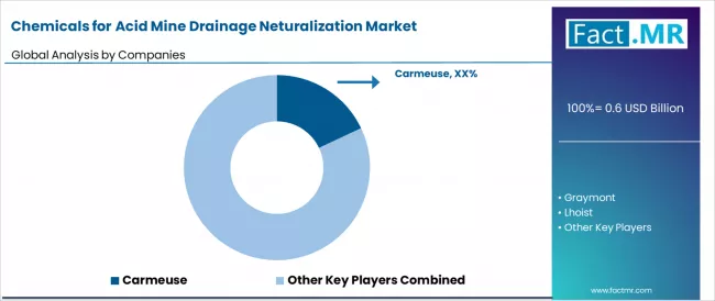 Chemicals For Acid Mine Drainage Neturalization Market Analysis By Company