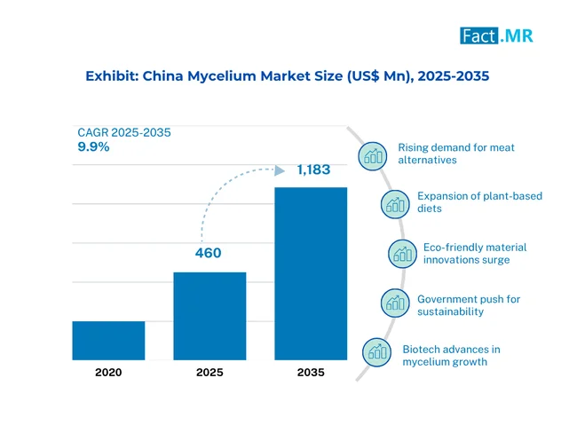 China Mycelium Market Size (US$ Mn) 2025 To 2035