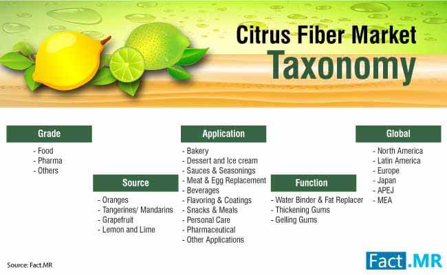 Citrus Fiber Market 0 citrus fiber market 0