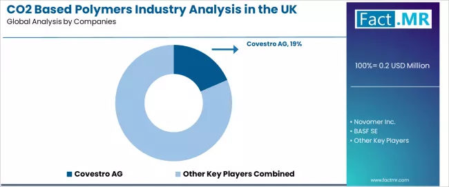 Co2 Based Polymers Industry Analysis In The Uk Analysis By Company