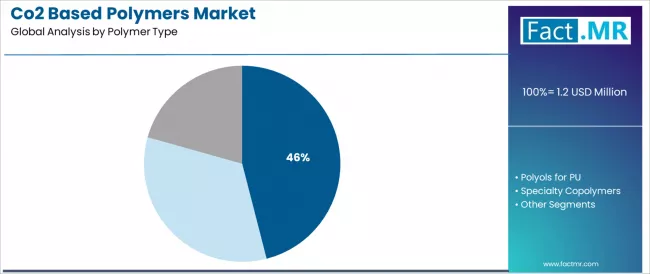 Co2 Based Polymers Market Analysis By Polymer Type Co2 Based Polymers Market Analysis By Polymer Type