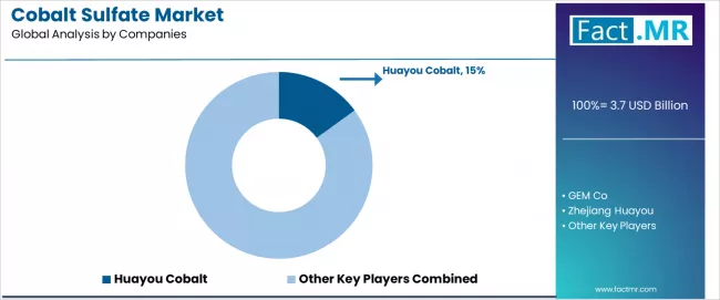 Cobalt Sulfate Market Analysis By Company Cobalt Sulfate Market Analysis By Company