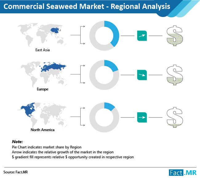 commercial seaweed images 01