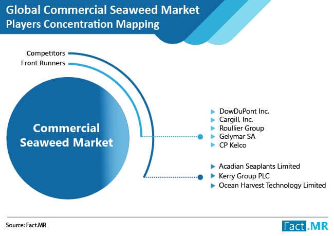 commercial seaweed images 02