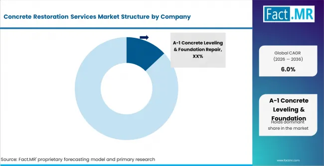 Concrete Restoration Services Market Analysis By Company