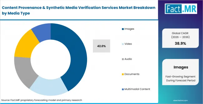Content Provenance & Synthetic Media Verification Services Market Analysis By Media Type Content Provenance & Synthetic Media Verification Services Market Analysis By Media Type