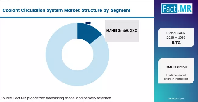 Coolant Circulation System Market Analysis By Company