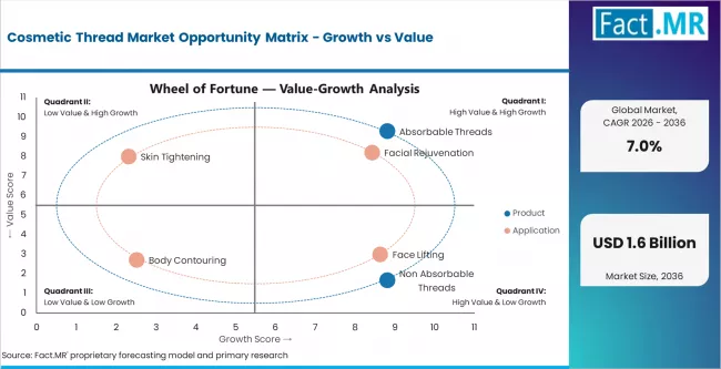 Cosmetic Thread Market Opportunity Matrix Growth Vs Value